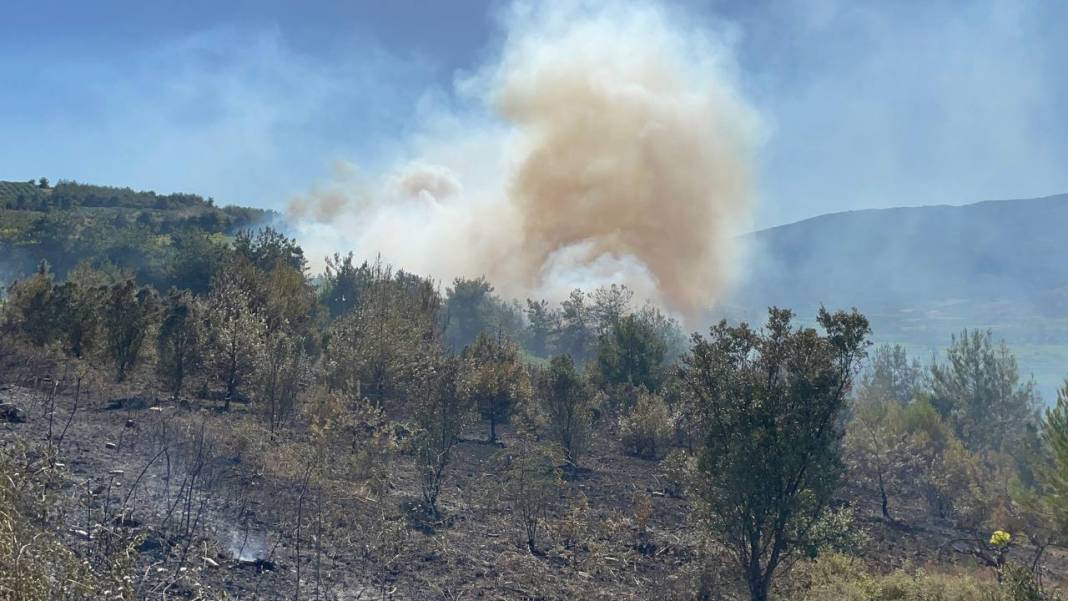 Sakarya'da orman yangını 26
